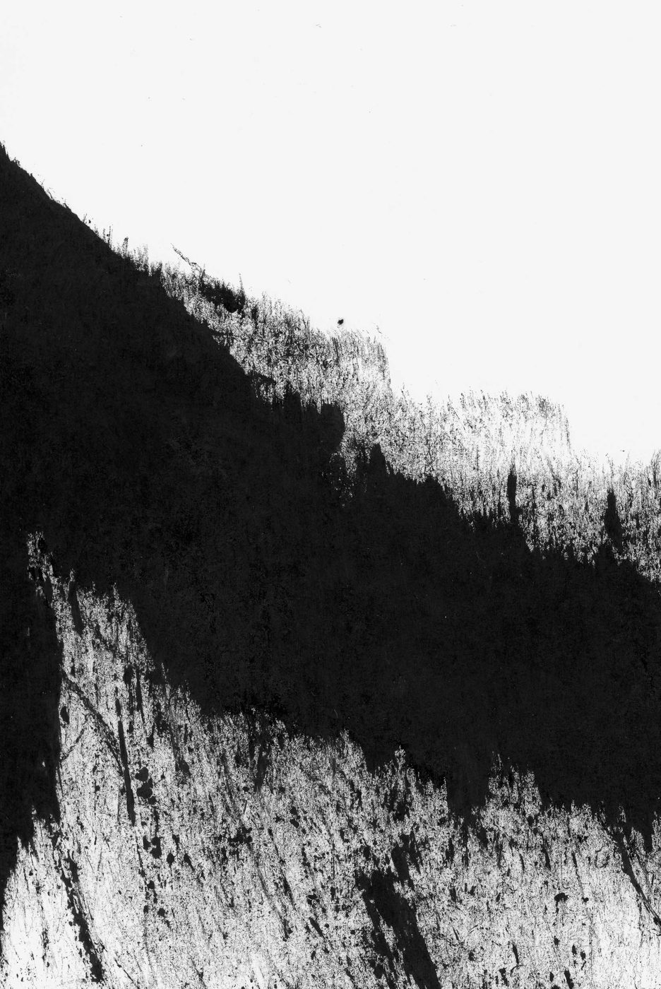 Bergwald